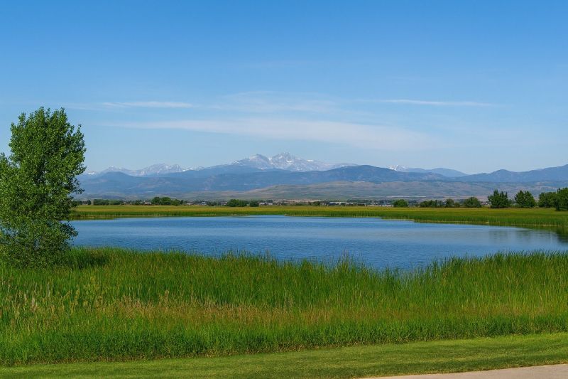 Best Shower Remodeling pros in Timnath, CO