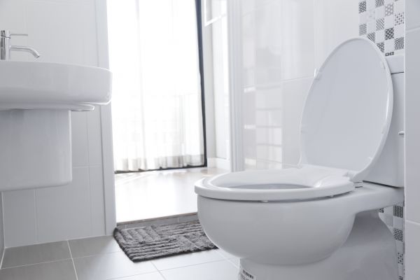 Cost of Toilet Relocation in Windsor